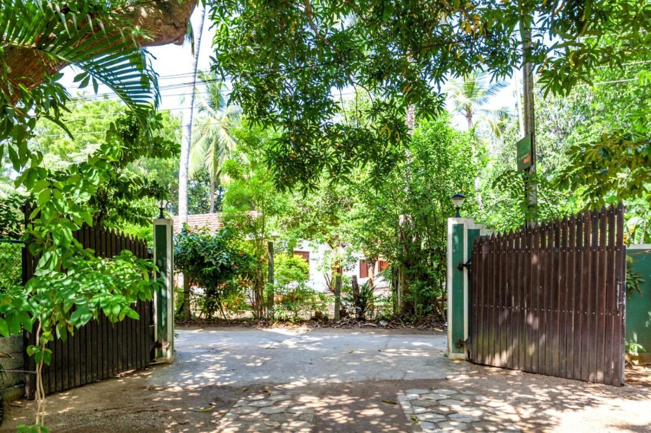 Julia Safari Inn تيساماهاراما المظهر الخارجي الصورة